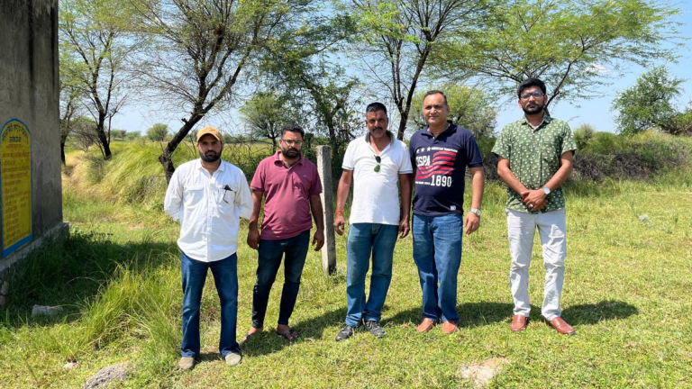 Untitled design (20)